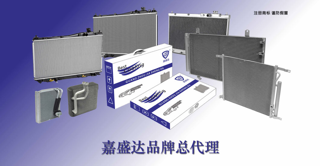 Jsd Car Radiator for Hyundai Picanto 12 OEM 25310-1y050