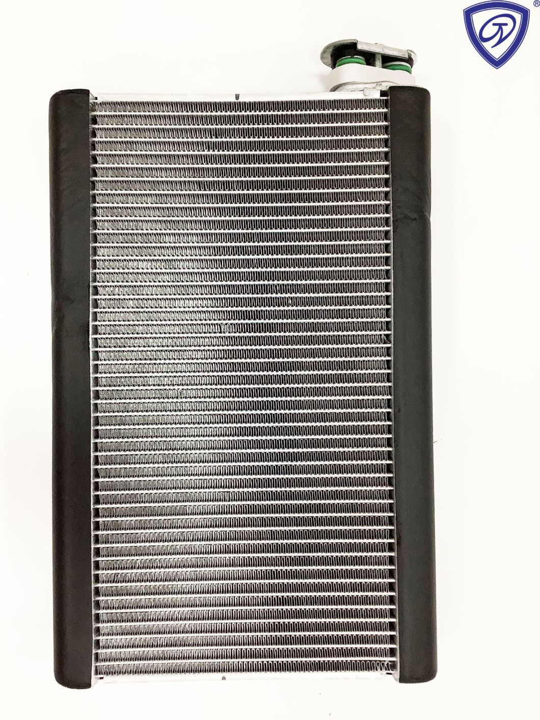 Factory Sell Auto AC Evaporator Core for Lion / Hino Truck Right Peptide
