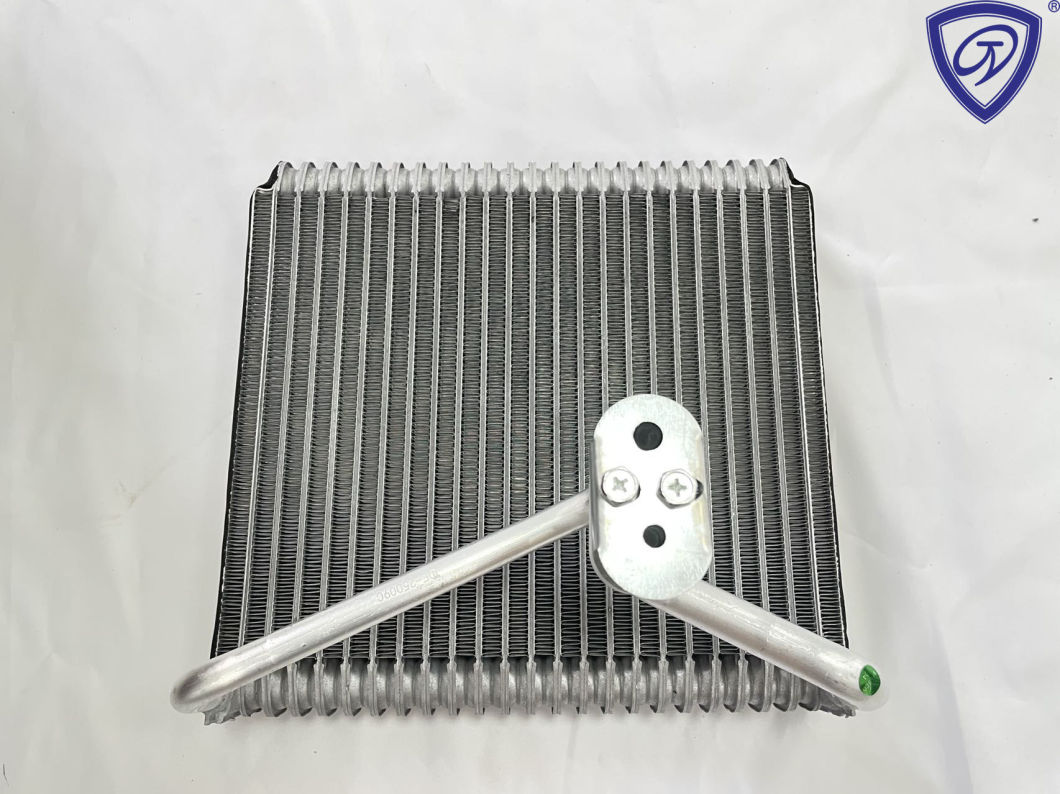 Auto Air Conditioner Evaporator Core for 06 Yasent OEM 971401e002