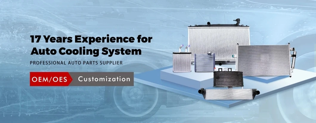 Car Refrigeration Water Tank Engine Cooling System Aluminum Radiator for Dongfeng Fengshen S30 1.6 Mt