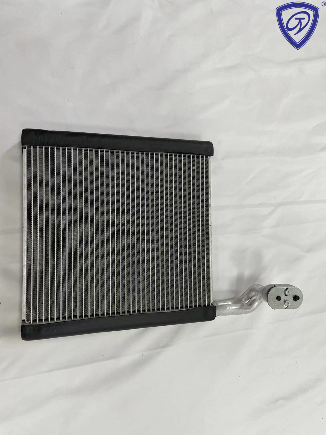 Factory Sell Auto AC Evaporator Core for Re1/Re2/Re4 with Tube