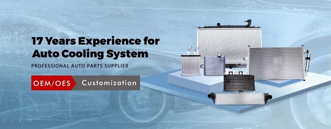 High Quality Aluminum Auto Air Conditioner Refrigeration Parts Condenser OEM 64508379885/64501282939 for E60/E65/E66/03